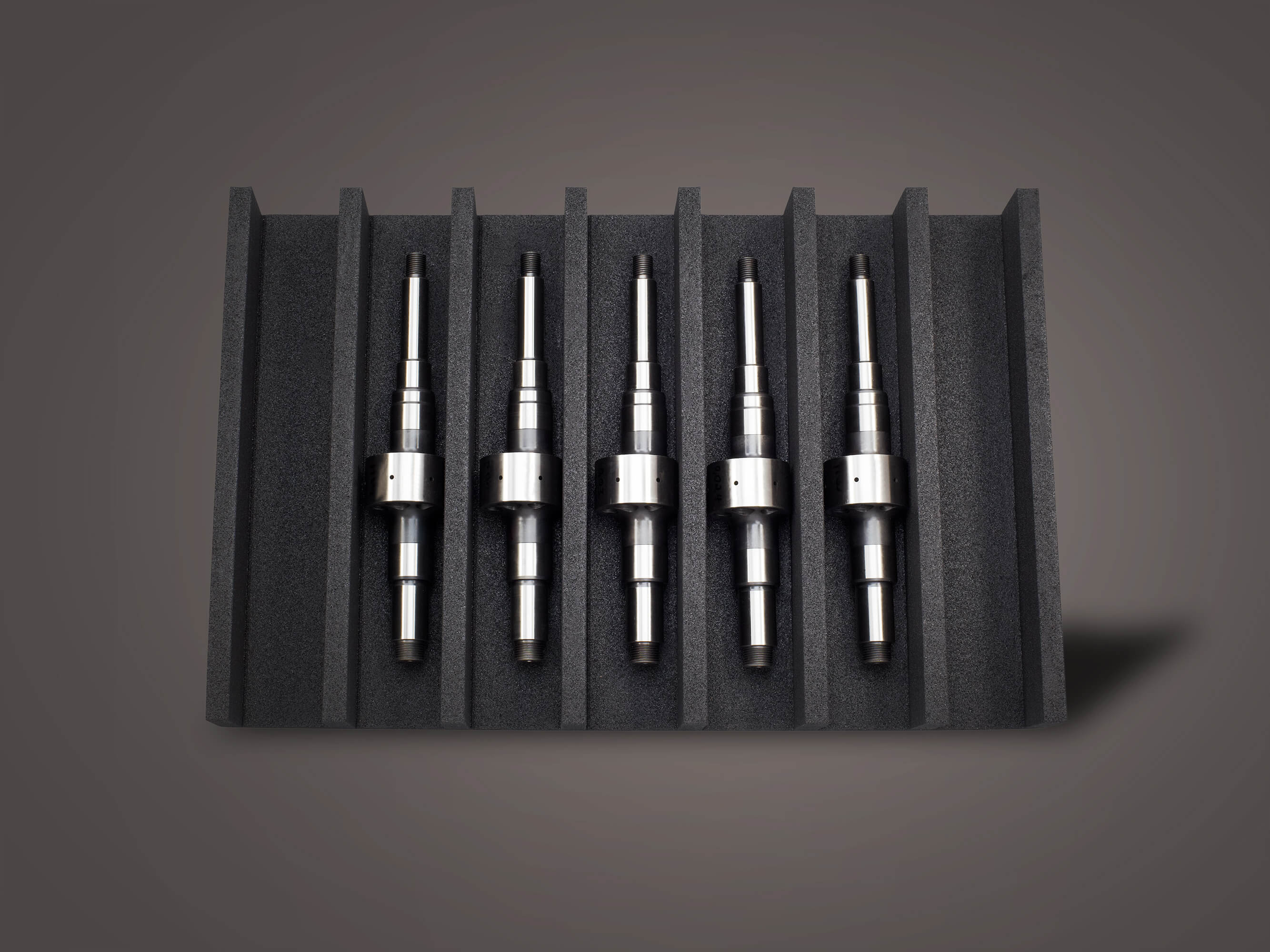 Werkzeugeinlage mit Gefachen